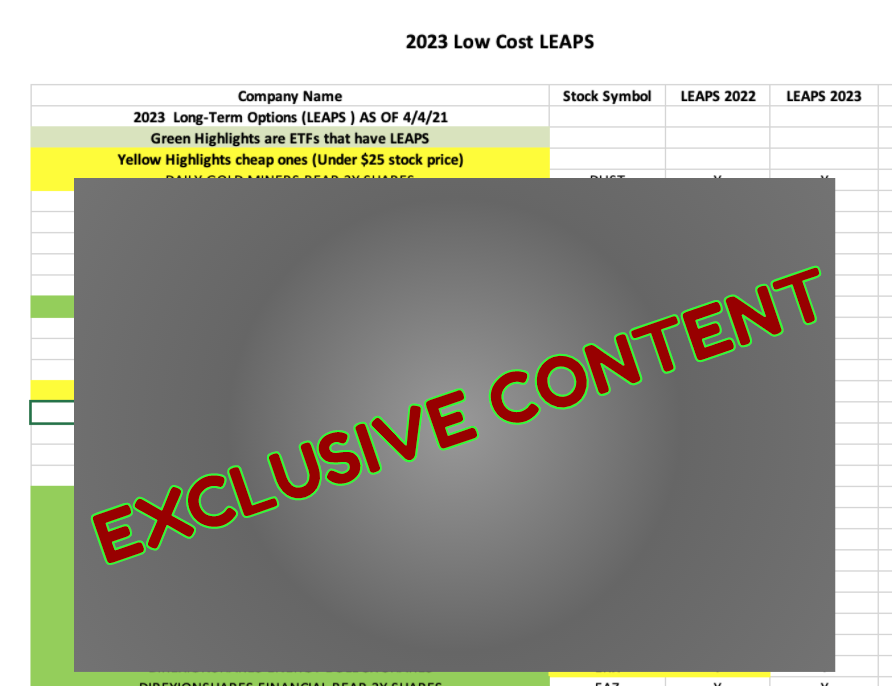 Low cost LEAPS preview 2